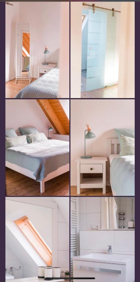Gruene Pause Apartment Freinsheim Ngoại thất bức ảnh