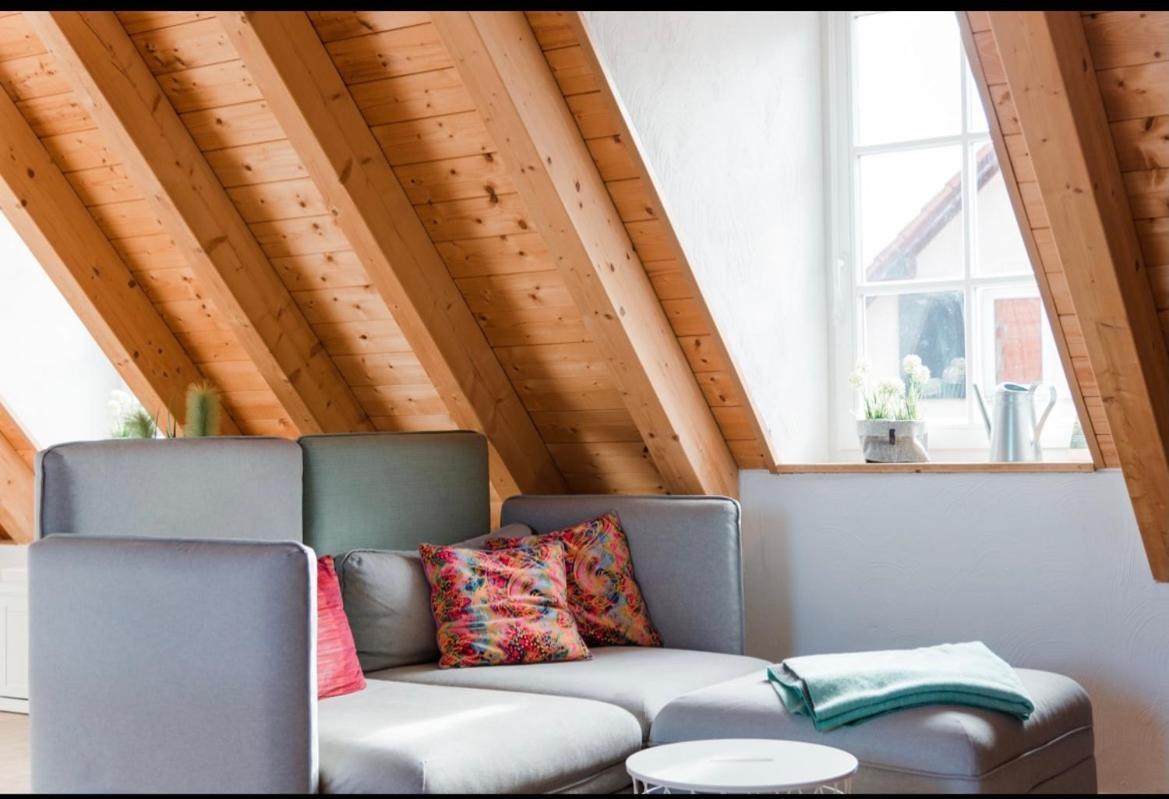 Gruene Pause Apartment Freinsheim Ngoại thất bức ảnh
